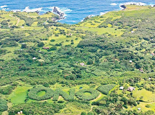 ONO Organic Farms